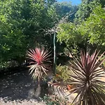 Дом отдыха Casa Da Costinha Синфайнш