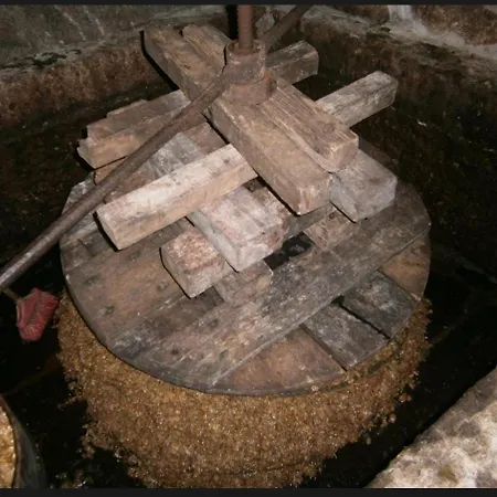 Casa Da Costinha Semesterbostad Cinfães