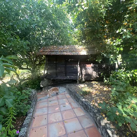 Casa Da Costinha Casa de Férias
