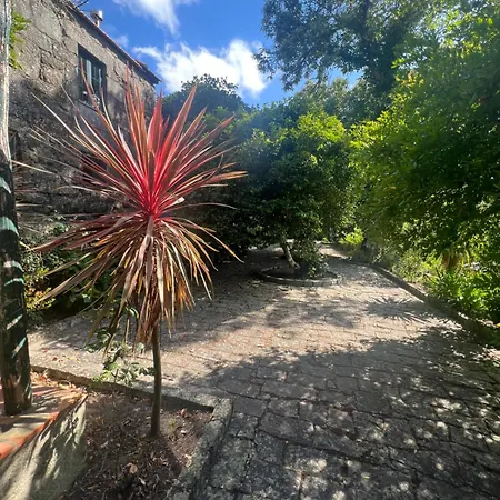 Casa Da Costinha Tatil Evi *