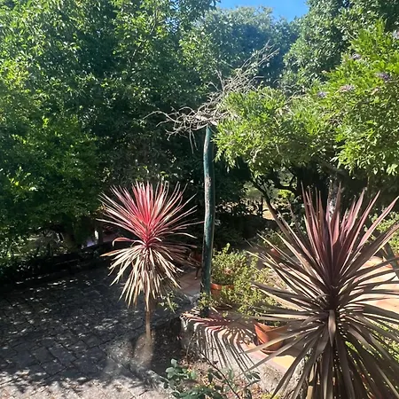 Tatil Evi Casa Da Costinha Cinfães