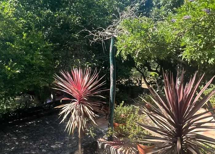 Dom wakacyjny Casa Da Costinha Cinfães